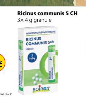 RICINUS COMMUNIS 5 CH