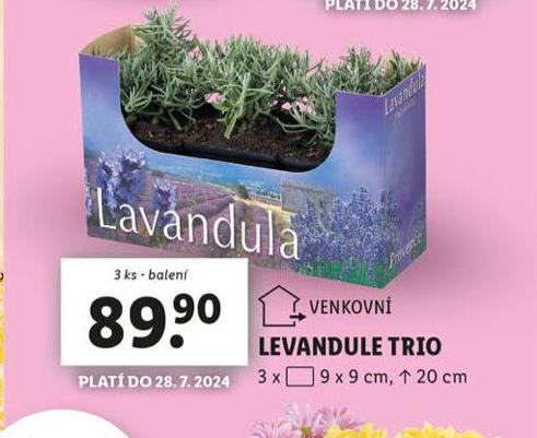 LEVANDULE TRIO