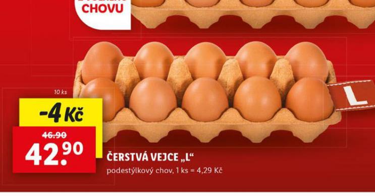 ERSTV VEJCE L PODESTLKOV CHOV