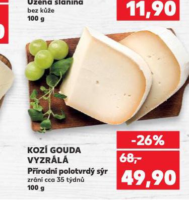 KOZ GOUDA VYZRL