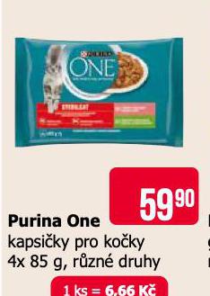 PURINA ONE KAPSIKY PRO KOKY