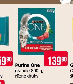 PURINA ONE GRANULE PRO KOKY