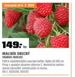 MALINK OBECN