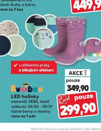 LED HOLNKY