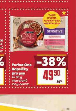 PURINA ONE KAPSIKY PRO PSY