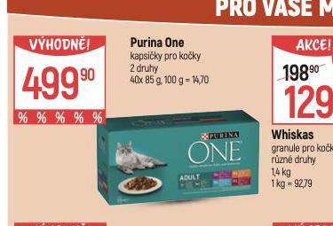 PURINA ONE KAPSIKY PRO KOKY