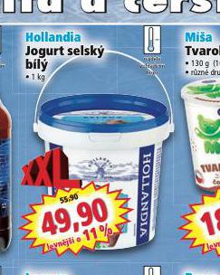 HOLLANDIA JOGURT SELSK BL