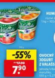 OVOCN JOGURT Z VALASKA