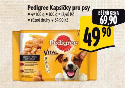 PEDIGREE KAPSIKY PRO PSY