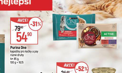 PURINA ONE KAPSIKY PRO PSY