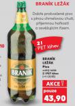 PIVO BRANK