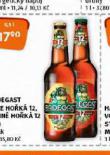 PIVO RADEGAST RYZE HOK 12