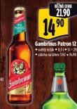 PIVO GAMBRINUS