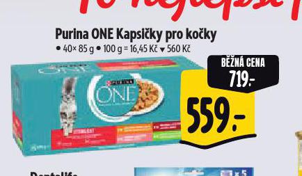 PURINA ONE KAPSIKY PRO KOKY