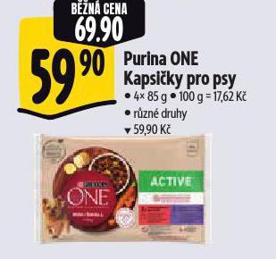 PURINA ONE KAPSIKY PRO PSY