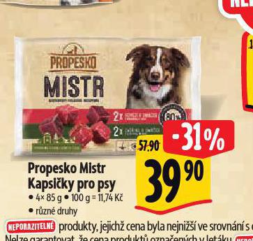 PROPESKO MISTR KAPSIKY PRO PSY