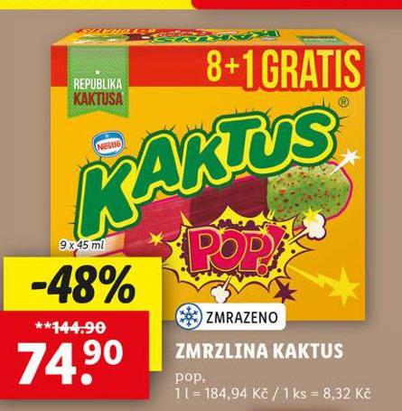 ZMRZLINA KAKTUS