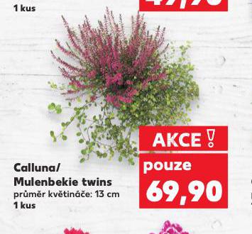 CALLUNA