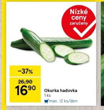 OKURKA HADOVKA