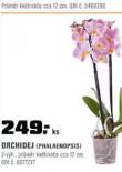 ORCHIDEJ