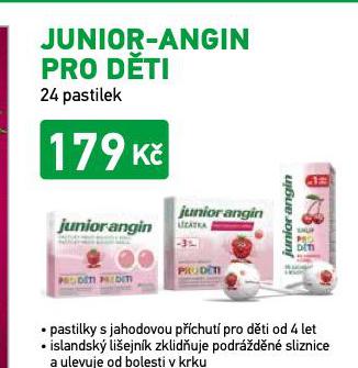 JUNIOR ANGIN PRO DTI