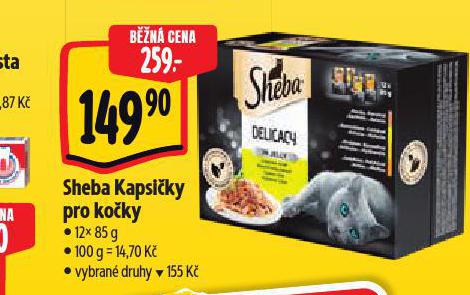 SHEBA KAPSIKY PRO KOKY