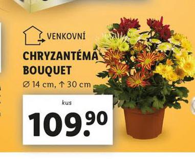 CHRYZANTMA BOUQUET