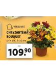 CHRYZANTMA BOUQUET