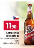 PIVO GAMBRINUS