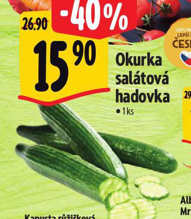 OKURKA SALTOV HADOVKA