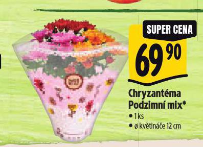 CHRYZANTMA PODZIMN MIX