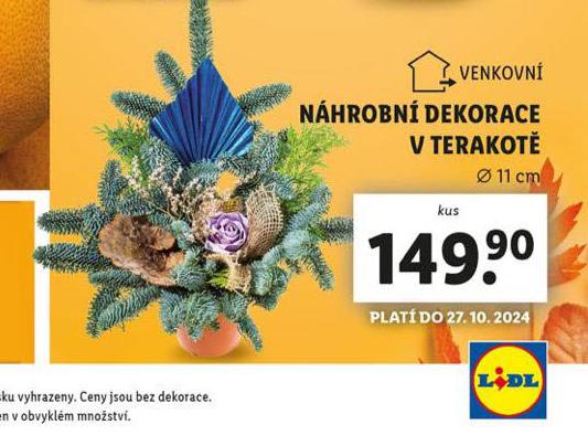 NHROBN DEKORACE V TERAKOT