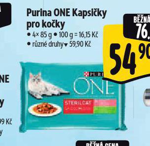 PURINA ONE KAPSIKY PRO KOKY