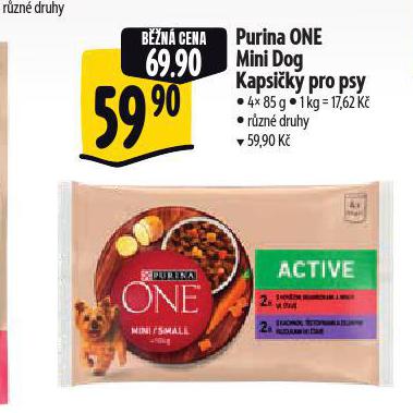 PURINA ONE KAPSIKY PRO PSY