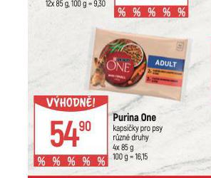 PURINA ONE KAPSIKY PRO PSY