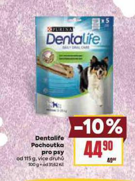 DENTALIFE POCHOUTKA PRO PSY