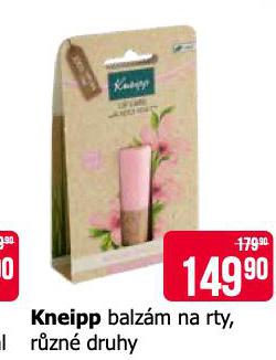 KNEIPP BALZM NA RTY