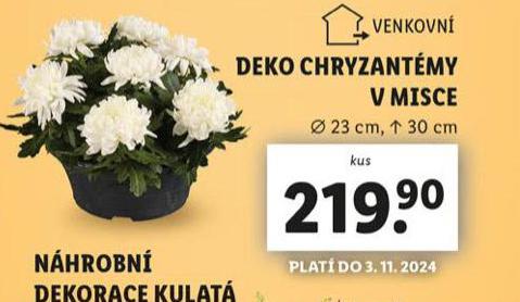 DEKO CHRYZANTMY V MISCE