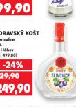 MORAVSK KOT SLIVOVICE