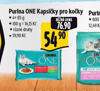 PURINA ONE KAPSIKY PRO KOKY