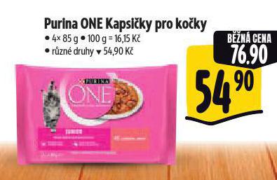 PURINA ONE KAPSIKY PRO KOKY