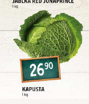 KAPUSTA