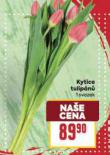 KYTICE TULIPN