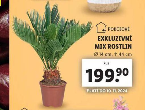 EXKLUZIVN MIX ROSTLIN