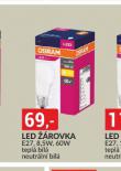 LED ROVKA