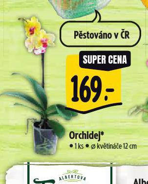 ORCHIDEJ