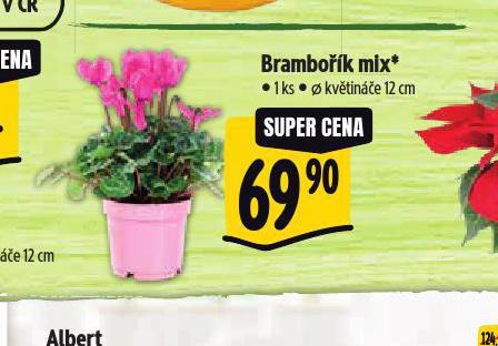 BRAMBOK MIX