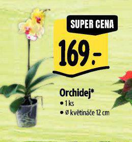 ORCHIDEJ