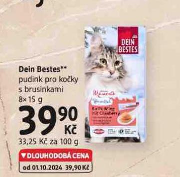 DEIN BSETES PUDINK PRO KOKY