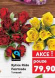 KYTICE RَE